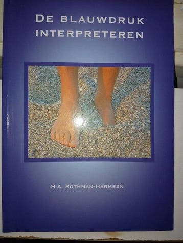 Boek De blauwdruk interpreteren 9789081228213, Verzenden, Zo goed als nieuw
