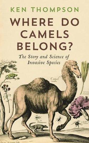 Where Do Camels Belong?, Ophalen of Verzenden, Nieuw