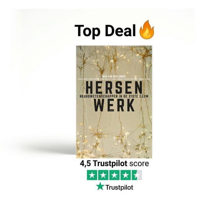 Hersenwerk, 9789058758675, Boeken, Studieboeken en Cursussen, Zo goed als nieuw, Verzenden