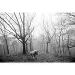 Frank Machalowski - tierwald#166