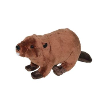 Bever knuffel - pluche - bruin - 24 cm, Verzenden, Nieuw