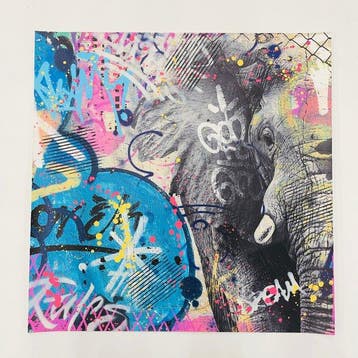 AIIROH - Elephant Echo