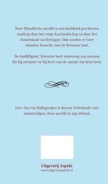 Spiegels van Bretagne 9789463388917, Verzenden, Zo goed als nieuw, Gert-Jan van Ballegooijen