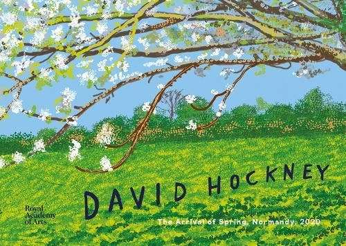 David Hockney | Hockney, David-Devaney, Edith-Boyd, William, Boeken, Overige Boeken, Nieuw, Ophalen of Verzenden