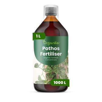 Pothos Vloeibare meststof - 1 liter, Verzenden, Mest