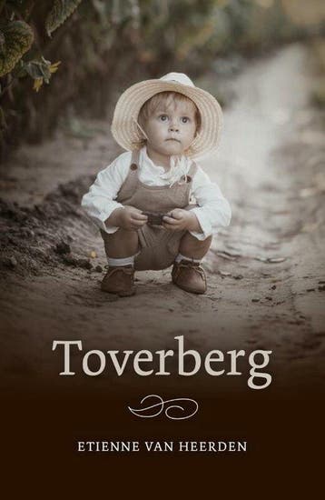 Toverberg - Etienne van Heerden 9789492600547, Boeken, Verzenden, Gelezen, Etienne van Heerden
