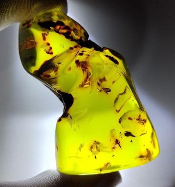 FOSSlL-AMAZING!! Dominicaans amber- 48.09 g