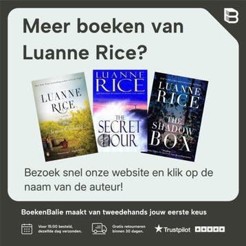 Zomerlicht - Luanne Rice 9789044314380, Verzenden, Gelezen, Luanne Rice