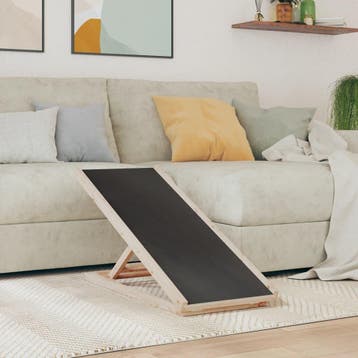 vidaXL Hondenloopplank 100x40 cm massief vurenhout grijs, Verzenden, Nieuw