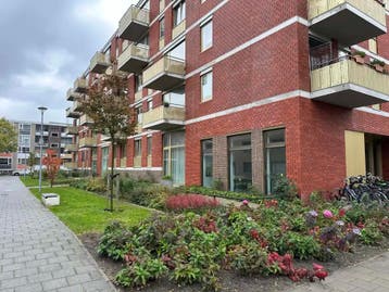 Te huur: Appartement Berkenlaan in Groningen, Huizen en Kamers, Huizen te huur, Groningen, Groningen, Appartement