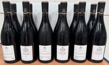 2015 Château de Pommard Cuvée Vivant - Pommard - 12, Nieuw