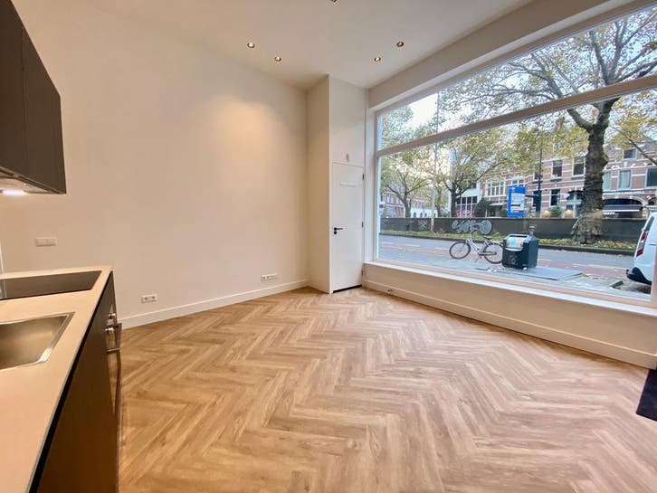 Woning te huur in Rotterdam - 45 m² - 1 kamer(s), Huizen en Kamers, Huizen te huur, Zuid-Holland, Overige soorten