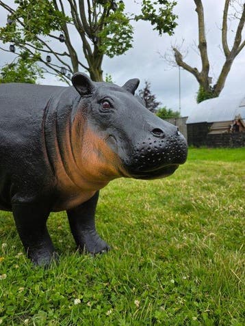 Beeld, XL Hippo - 72.5 cm - mgo - 2026