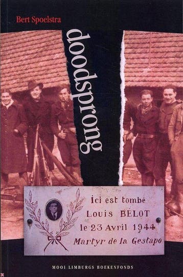 De Doodsprong - Bert Spoelstra 9789085960171, Boeken, Verzenden, Gelezen, Bert Spoelstra