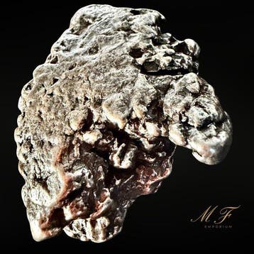 Meteoriet Campo del Cielo – Uitzonderlijk Exemplaar