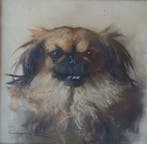 Marino Lenci (1874-1939) - Cane pechinese