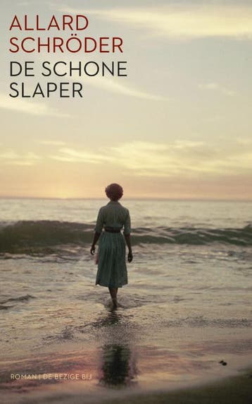 De schone slaper - Allard Schröder 9789023449706, Boeken, Verzenden, Zo goed als nieuw, Allard Schröder