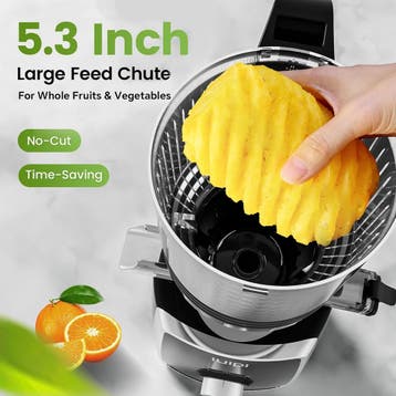 Slowjuicer - Sapcentrifuge - Groenten en fruit - Zwart - SPZ, Witgoed en Apparatuur, Juicers, Verzenden, Zo goed als nieuw