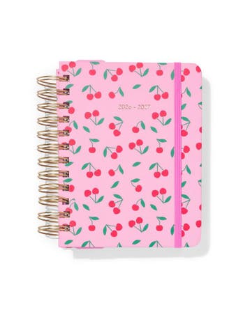 HEMA Schoolagenda 2026-2027 5.4x18.6cm kersen, Diversen, Verzenden, Nieuw