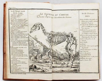 Gueriniere - Ecole de Cavalerie - 1736