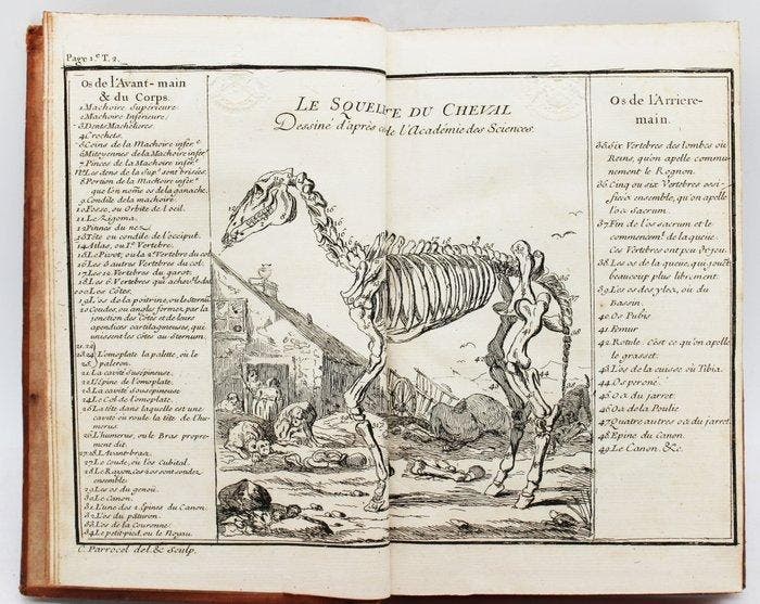 Gueriniere - Ecole de Cavalerie - 1736, Antiek en Kunst, Antiek | Boeken en Bijbels