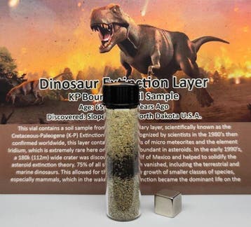 K-T-grens (K-Pg-grens). Uitsterven van de dinosauriërs (65