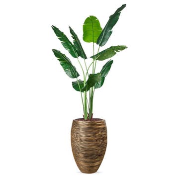 Strelitzia kunstplant, H210cm, Ophalen of Verzenden, Overige soorten, 200 cm of meer