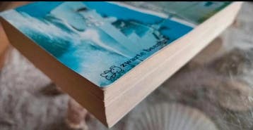 Ken Follett - Piraat - Poema Pocket, Boeken, Gelezen, Ken Follett