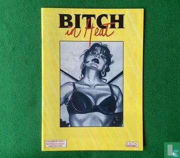 Bitch in Heat 9 - 1999, Boeken, Eén comic, Verzenden, Casotto, Giovanna., Zo goed als nieuw