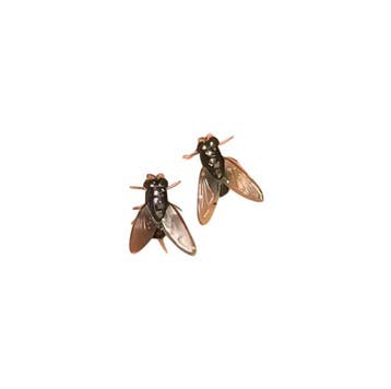 Grappige Strontvlieg Oorbellen - Oorbel Dames Heren - Insect, Verzamelen, Verzenden, Nieuw