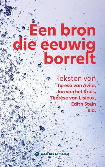 Een Bron Die Eeuwig Borrelt | Geert Schiettecatte | Nieuw, Ophalen of Verzenden, Nieuw, Geert Schiettecatte
