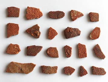 Dinosauruseierenschalen uit Frankrijk - Gefossiliseerd ei