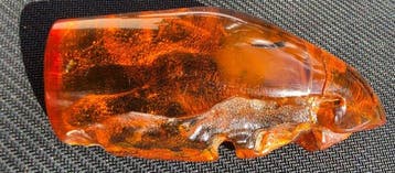 Amber - Barnsteen - 11 cm - 5 cm (Zonder minimumprijs)