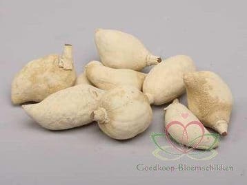 Baobab noten Light ca. 500 gram, Ophalen of Verzenden, Nieuw