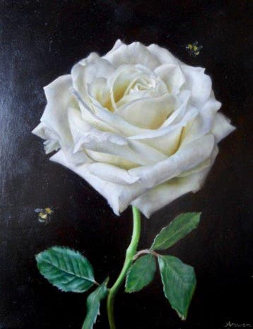 Anwen de Ridder (2000) - White Rose