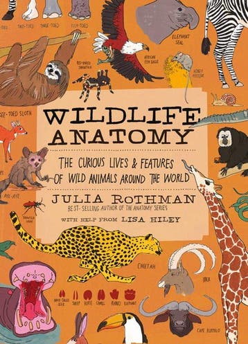 9781635863888 Wildlife Anatomy Julia Rothman, Verzenden, Nieuw, Julia Rothman
