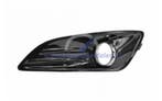 Ford Fiesta 2013-2017 Grill Mistlamp Kap Glans Zwart Links, Auto-onderdelen, Ophalen of Verzenden, Nieuw, Links, Ford USA