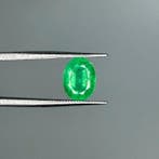 Zonder minimumprijs Groen Smaragd - 2.53 ct - International, Nieuw