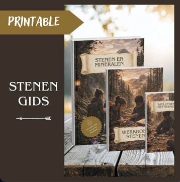 StenenGids, werkboek en spelletjesboek, Verzamelen, Overige typen