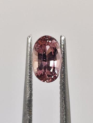 Zonder minimumprijs - 1 pcs Roze Saffier - 1.03 ct - Lotus, Sieraden, Tassen en Uiterlijk, Nieuw