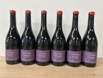 2018 Marc Soyard, Domaine de la Cras Cras Monopole -, Nieuw