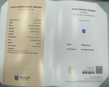 Ring - 14 karaat Geel goud Saffier - Diamant, Nieuw