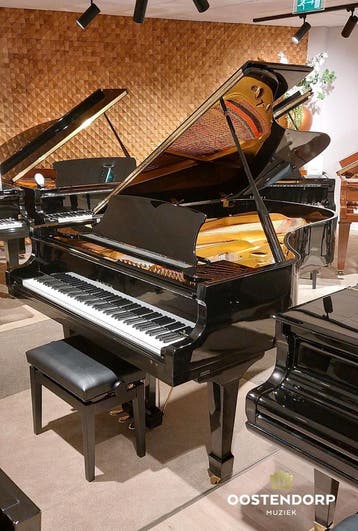 Samick SG-205 PE, Nieuw, Zwart, Vleugel