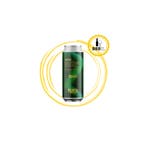 Browar Pinta - Hopzz Edge, Nieuw
