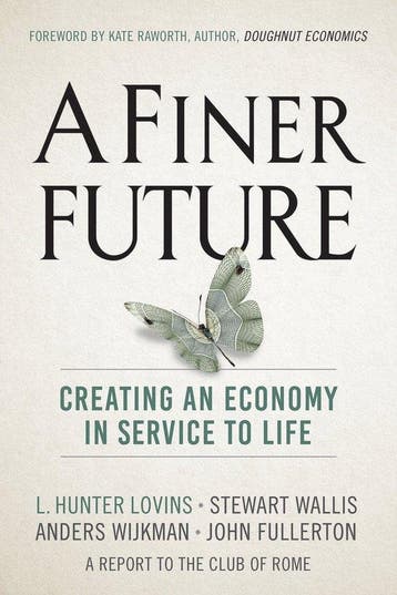 A Finer Future - L. Hunter Lovins 9780865718982, Verzenden, Gelezen, L. Hunter Lovins