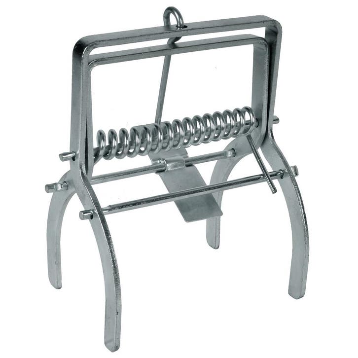 Talen Tools Mollenklem: Duurzame en Effectieve Mollenbest..., Diensten en Vakmensen, Ongediertebestrijding