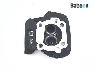 Cilinderkop Voor Harley-Davidson FXSTB Night Train 1998-1999, Motoren, Verzenden, Gebruikt