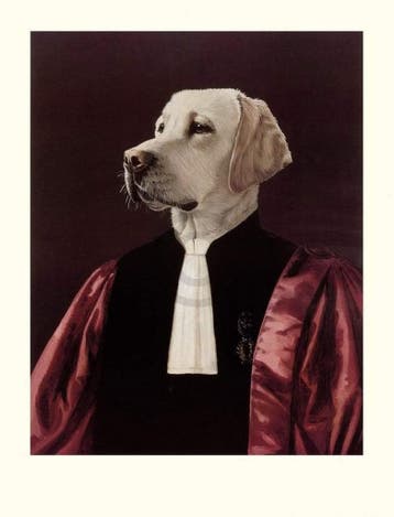 Kunstdruk Thierry Poncelet - The Advocate 66x86cm, Verzenden, Nieuw