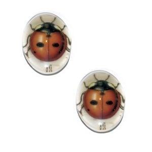 2 x Glas Cabochon 18x13 mm Ladybug (Cabochons en camée), Ophalen of Verzenden, Nieuw, Overige typen
