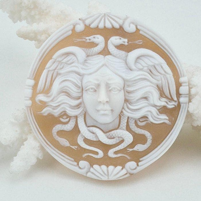 CASSIS MADAGASCARIENSIS - Cameo - Handgesneden camee, Antiek en Kunst, Curiosa en Brocante